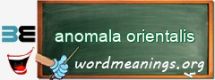 WordMeaning blackboard for anomala orientalis